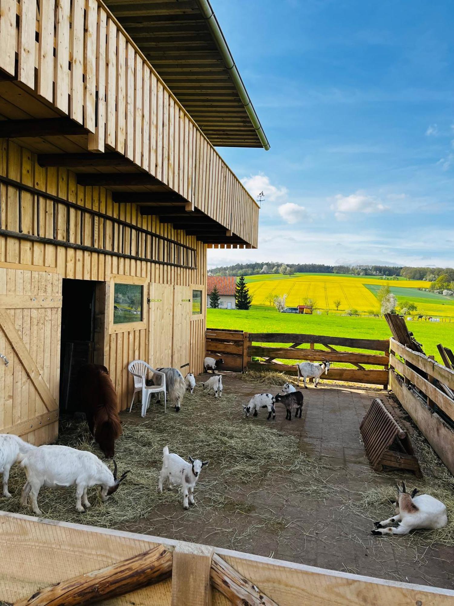Ferienwohnung Peters Hünfeld Eksteriør billede